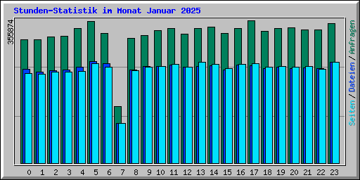 Stunden-Statistik im Monat Januar 2025