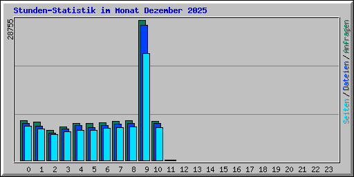 Stunden-Statistik im Monat Dezember 2025