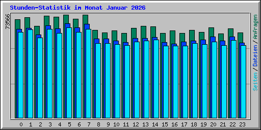 Stunden-Statistik im Monat Januar 2026