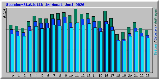 Stunden-Statistik im Monat Juni 2026
